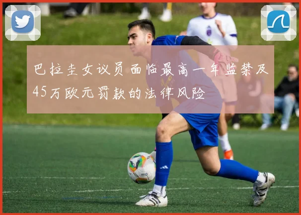 巴拉圭女议员面临最高一年监禁及45万欧元罚款的法律风险